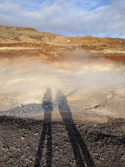 Florence Cats / Lilja María Ásmundsdóttir